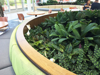 JRA_Workiva Atrium_Padded Seating with Plantings
